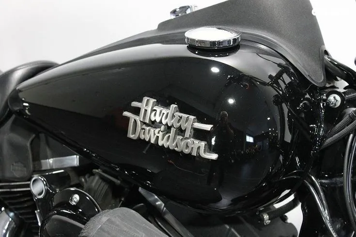 Harley-Davidson FXDB  Image 3